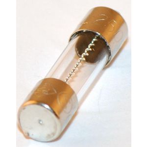 Zekering 250V 6.3A 87161163170