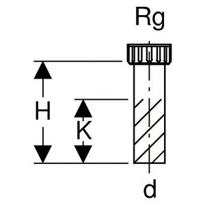 Polyethyleen (PE) sifonaansluitstuk met wartel en pakking d 50/Rg 6