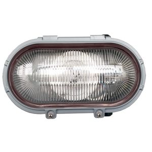 ATEX Bulkhead LED zone 1/21 24V AC/DC 2450lm Transparent