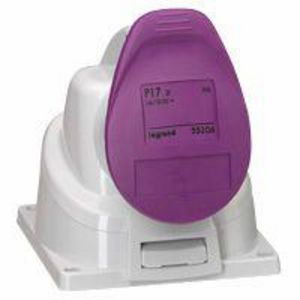 Opbouw wandcontactdoos 24V 32A 2-polig IP44 P17