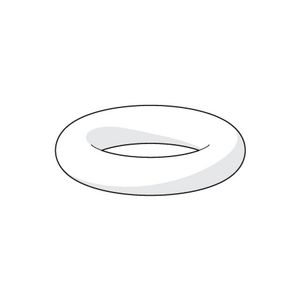 O-ring 59905020