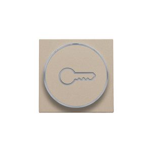 Afwerkingsset doorschijnende ring sleutelsymb. 6A champagne
