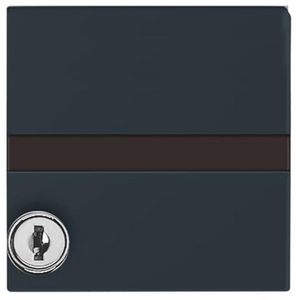 Centraalplaat kd tekst slot verl v SI IP44 A-w antraciet (2118 GKSLN-35)