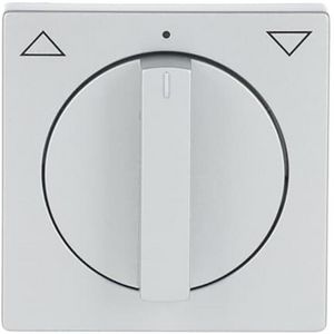 Centraalplaat v inb jaloeziesch greep draai f-aluzilver (1740-83)