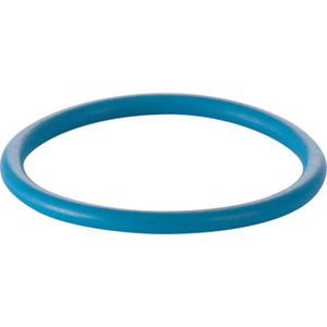 O-ring voor douchearm AqC8/8000plus
