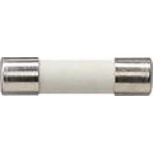 Zekering T 6,3 H 250 V Accessoires