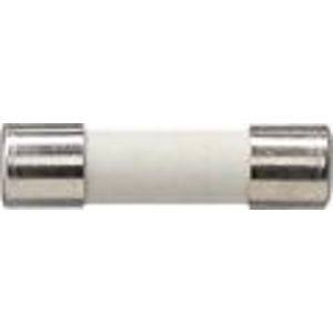 Zekering F 500 H 250 V Accessoires