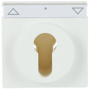 Centraalplaat slot f-matwit (1755 SL/PZ-884-101)