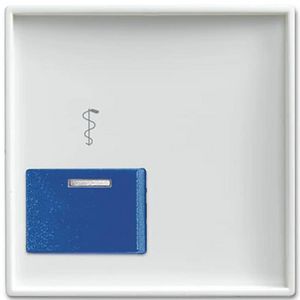 Centraalplaat voor Ackermann RT Tbl SI-B-alpinwit (2548-022 AR-914)