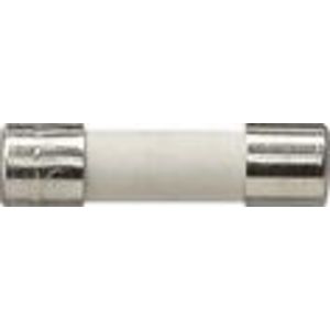 Zekering T 2,5 H 250 V Accessoires