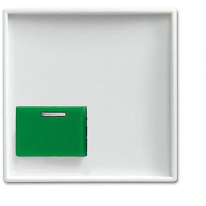 Centraalplaat voor Ackermann A Tgn SI-B-alpinwit (2548-642 C-914)