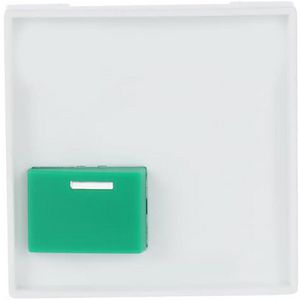 Centraalplaat voor Ackermann A Tgn s-studiowit (2548-642 C-84)