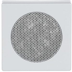 Centraalplaat voor radioluidspreker f-aluzilver (8253-83)