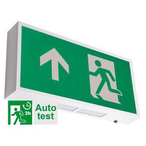 TEMPUS WAND/DOWNL.AUTOT.