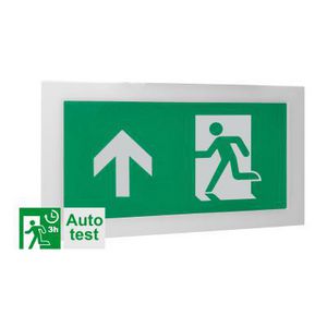 TEMPUS VLUCHT WAND AUTOTE