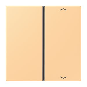 Tastafdekking F40 1-voudig compleetpijl LC4320P KNX