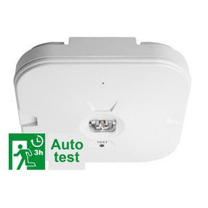 TEMPUS NOOD OPB.GANG AUTO