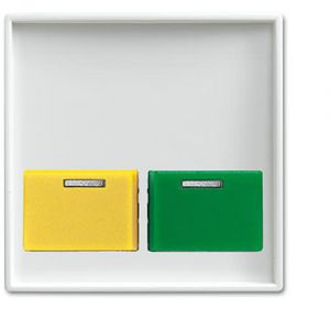 Centraalplaat voor Ackermann A Tgn Tge SI-B-alpinwit (2548-642 E-914)
