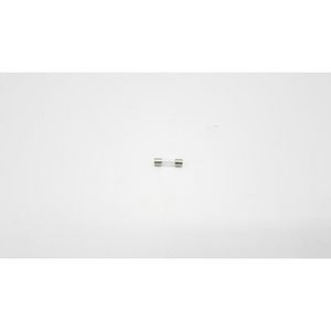 Micro zekering 250V 20x5mm 1A