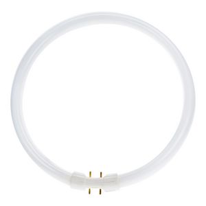 TL-buis TL5 Circular 2GX13 40W 3300lm 830