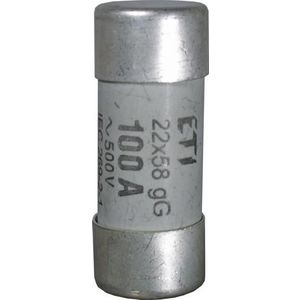 Cylindrische zekering CH22 aM 100A 500V 22x58 VVE=10