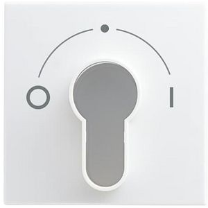 Centraalplaat slot voor 2733USL-101 SI-B-alpinwit (2557 SLPZ-914-101)