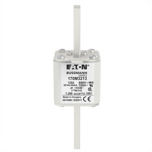Zekering h. snelheid 125A AC 690V 200kA compact 1 45x VVE=6