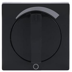 Centraalplaat + greep volume f-antraciet (1740 DR/03-81)