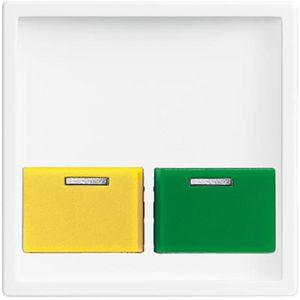 Centraalplaat voor Ackermann A Tgn Tge s-studiowit (2548-642 E-84)