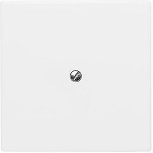 Centraalplaat blinde inb draag met draagraam IP44 A-w alpin