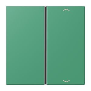 Tastafdekking F40 1-voudig compleetpijl LC4320G KNX