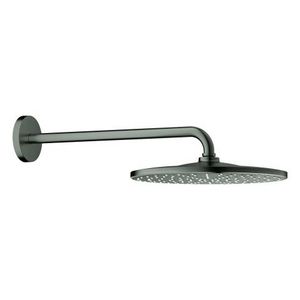 Rainshower310 Hoofdou.Rond,Mono9,5L/M,HardGraphiteGebr