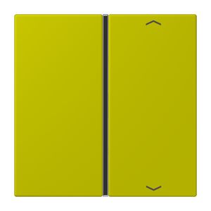Tastafdekking F40 1-voudig compleetpijl LC4320F KNX