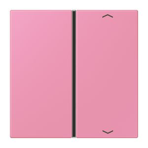 Tastafdekking F40 1-voudig compleetpijl LC4320C KNX