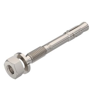 Nagelanker met draad M6 6x50 RVS