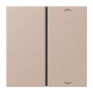 Tastafdekking F40 1-voudig compleetpijl LC32131 KNX