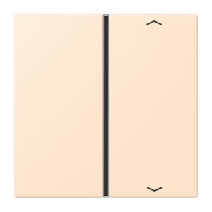 Tastafdekking F40 1-voudig compleetpijl LC32123 KNX