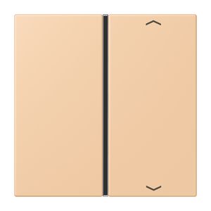 Tastafdekking F40 1-voudig compleetpijl LC32122 KNX