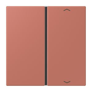Tastafdekking F40 1-voudig compleetpijl LC32121 KNX