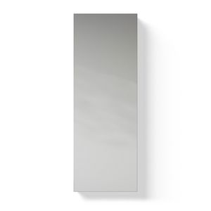 Toilet-Line spiegel 700x250mm