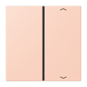 Tastafdekking F40 1-voudig compleetpijl LC32112 KNX