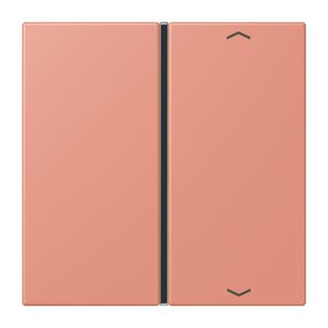 Tastafdekking F40 1-voudig compleetpijl LC32111 KNX