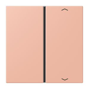 Tastafdekking F40 1-voudig compleetpijl LC32102 KNX
