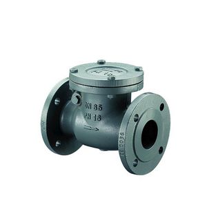 Terugslagklep PN16 gietijzer DN150 6