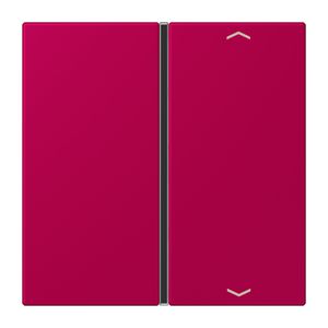 Tastafdekking F40 1-voudig compleetpijl LC32101 KNX
