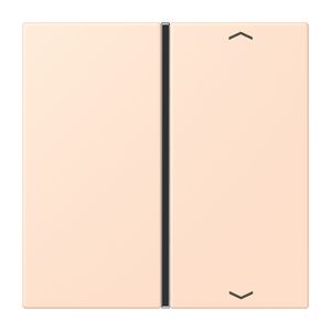 Tastafdekking F40 1-voudig compleetpijl LC32091 KNX