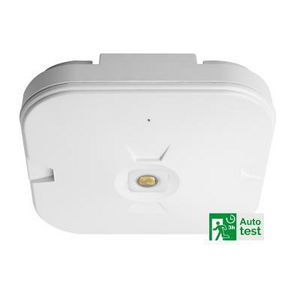 TEMPUS MIDBAY NOOD DOWNL