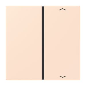 Tastafdekking F40 1-voudig compleetpijl LC32082 KNX