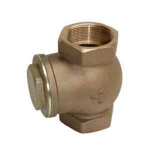 Terugslagklep G 2" rotguss