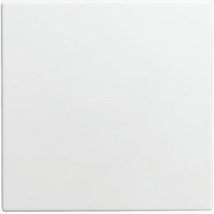 Infoline centraalplaat blind SI-Balance (1576 C-914)